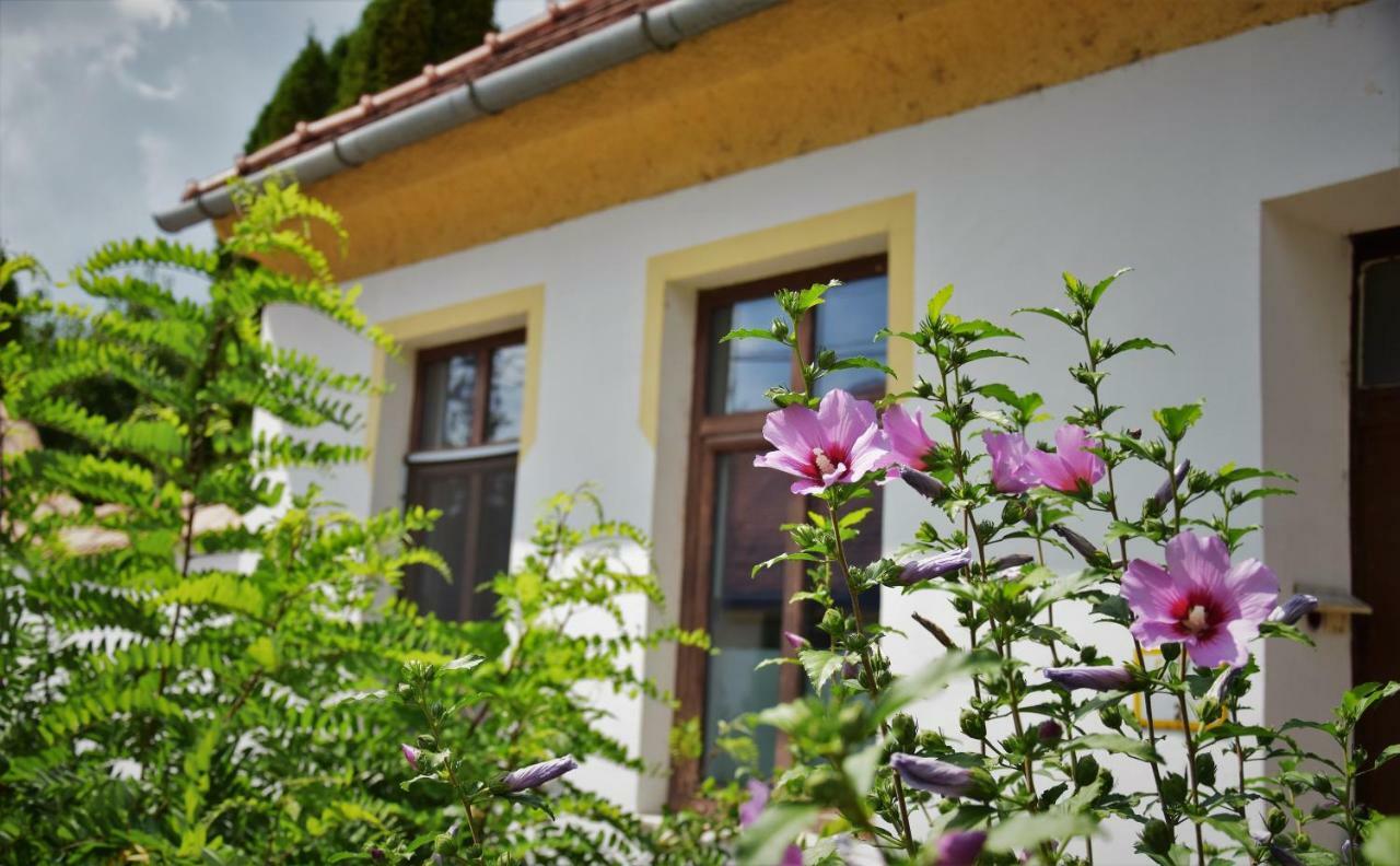 L&R Apartment Győr Eksteriør billede